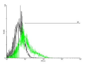 MS4A1 purified MaxPab mouse polyclonal antibody (B01P)