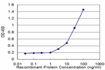 CD8A monoclonal antibody (M10), clone 4B9