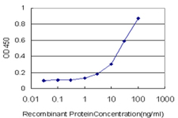 RUNX1 monoclonal antibody (M06), clone 2C10