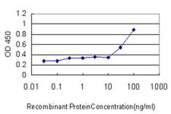 RUNX2 monoclonal antibody (M05), clone 1D2