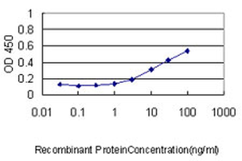 CASQ2 monoclonal antibody (M01), clone 1B6