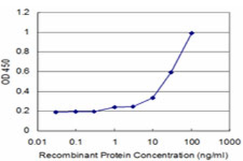CASP3 monoclonal antibody (M02), clone 4D3