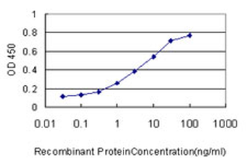 CASP1 monoclonal antibody (M01), clone 3D2