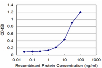 CANX monoclonal antibody (M08), clone 1D4