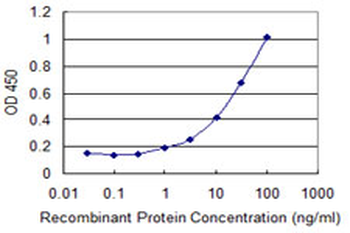 PTTG1IP monoclonal antibody (M04), clone 4C11