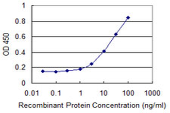 ZNHIT2 monoclonal antibody (M05), clone 4G11