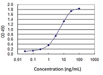 BUB1 monoclonal antibody (M02J), clone 2F9