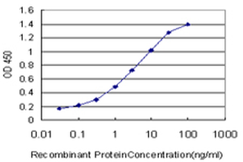 KLF9 monoclonal antibody (M01), clone 1H5