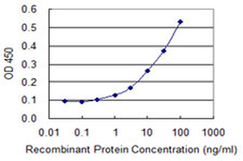 BNIP3L monoclonal antibody (M02), clone 2E11