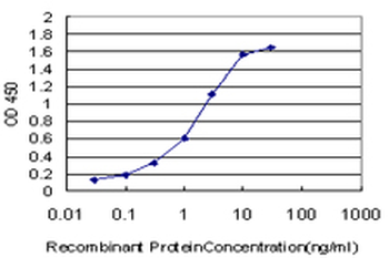BNIP3L monoclonal antibody (M01), clone 3G2