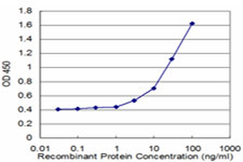 BNIP1 monoclonal antibody (M01), clone 1G7