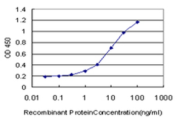 POLR3D monoclonal antibody (M01), clone 4E6