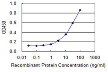 BMPR2 monoclonal antibody (M09), clone 4G7