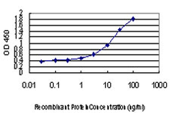 BLVRB monoclonal antibody (M09), clone 2F4
