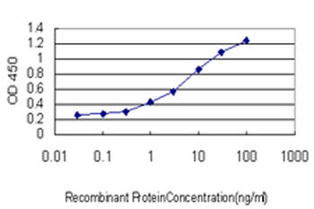 PRDM1 monoclonal antibody (M01), clone 2B10