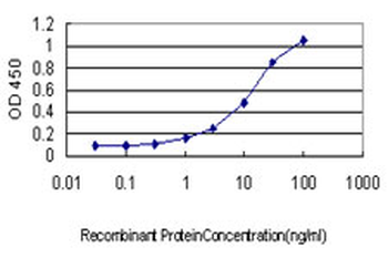 BGLAP monoclonal antibody (M01), clone 2D4
