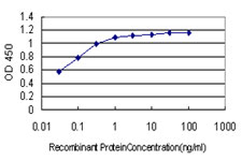 BCL9 monoclonal antibody (M01), clone 2D4