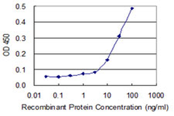 AUH monoclonal antibody (M01), clone 2G12