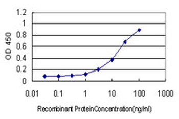 ATR monoclonal antibody (M01), clone 3F2