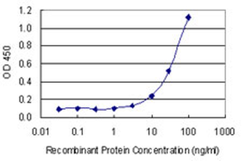 ATP2B4 monoclonal antibody (M07), clone 2G8