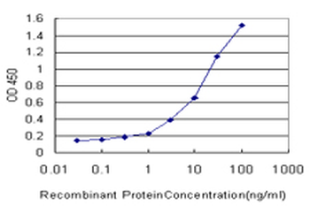 ATP1B3 monoclonal antibody (M06), clone 2F5