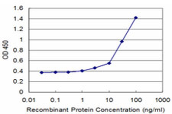 ATP1B2 monoclonal antibody (M04), clone 4E3