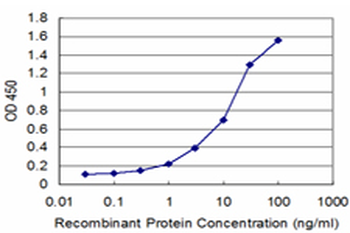 ATF4 monoclonal antibody (M07), clone 2E3