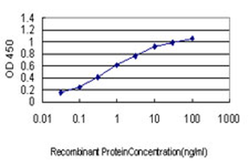 ATF4 monoclonal antibody (M01), clone 2B3