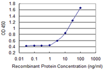 ASMT monoclonal antibody (M06), clone 1F8