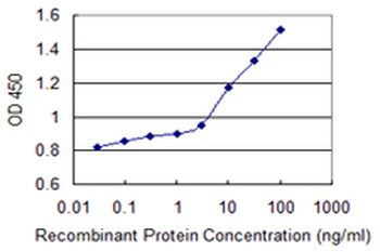 ARSB monoclonal antibody (M10), clone 2G6