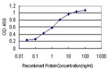 ARRB2 monoclonal antibody (M01), clone 3G1