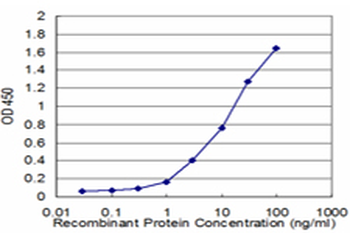 ARNT monoclonal antibody (M02), clone 1F12