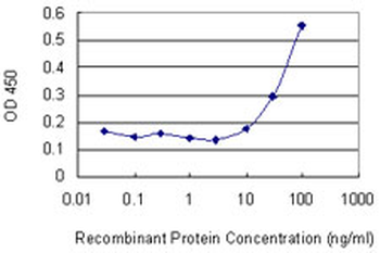 ARHGDIG monoclonal antibody (M01), clone 1D11