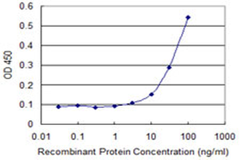 ARHGDIB monoclonal antibody (M01), clone 2C12-B6