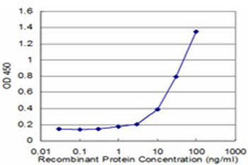 RHOG monoclonal antibody (M05), clone 2E6