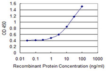RND3 monoclonal antibody (M01), clone 1D2