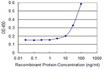 RHOC monoclonal antibody (M06), clone 1B7