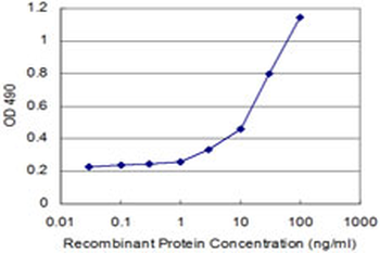 RHOA monoclonal antibody (M05), clone 1C1