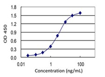 RHOA monoclonal antibody (M04J), clone 1B12
