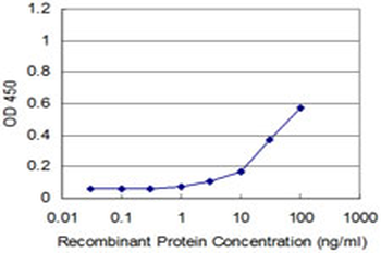 RHOA monoclonal antibody (M04), clone 1B12
