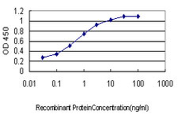 BIRC5 monoclonal antibody (M01), clone 5B10