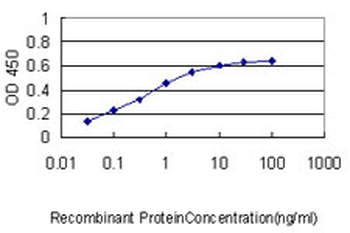 APBB2 monoclonal antibody (M01), clone 2D8