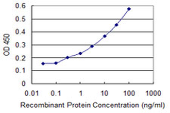 AMELX monoclonal antibody (M04), clone 6G3