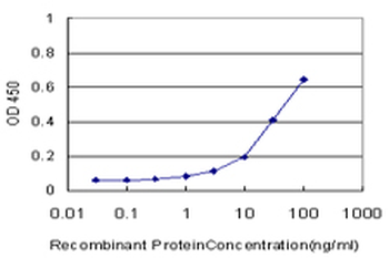 ALDH3A1 monoclonal antibody (M08), clone 2G4