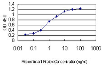 AKT1 monoclonal antibody (M01), clone 4C3