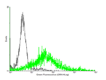ADORA2A purified MaxPab mouse polyclonal antibody (B01P)
