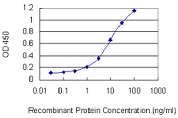 AAMP monoclonal antibody (M02), clone 2H2