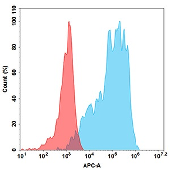 Anti-CLDN18.2 (zolbetuximab biosimilar) mAb
