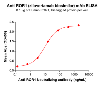 Anti-ROR1 (zilovertamab biosimilar) mAb