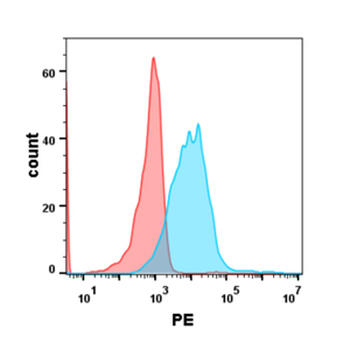 Anti-GPRC5D (Talquetamab without CD3 biosimilar) mAb